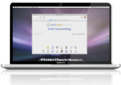 screenshot of Brief Accounting